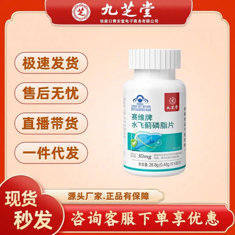 九芝堂サイビ牌水飛 _ リン脂片28.8g(0.48g/片 × 60片) 無痕代発卸売り|undefined