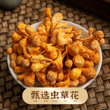 虫草花500g干货特级不熏硫孢子头菌菇补品煲汤批发蛹虫草花食用菌