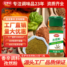尼罗非孜然粉25g瓶装烧烤料大料香料调味料腌料家用商用批发