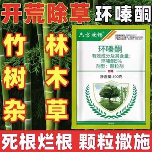 ���ݠ���ȥ�s���s�����ӭh�ͪ5%�����w����ȫ�r�ó��݄�����