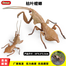 �羳��ͯ�����J֪����Ұ�����xģ�Ϳ��~���֩�뱳����M��ߔ[��