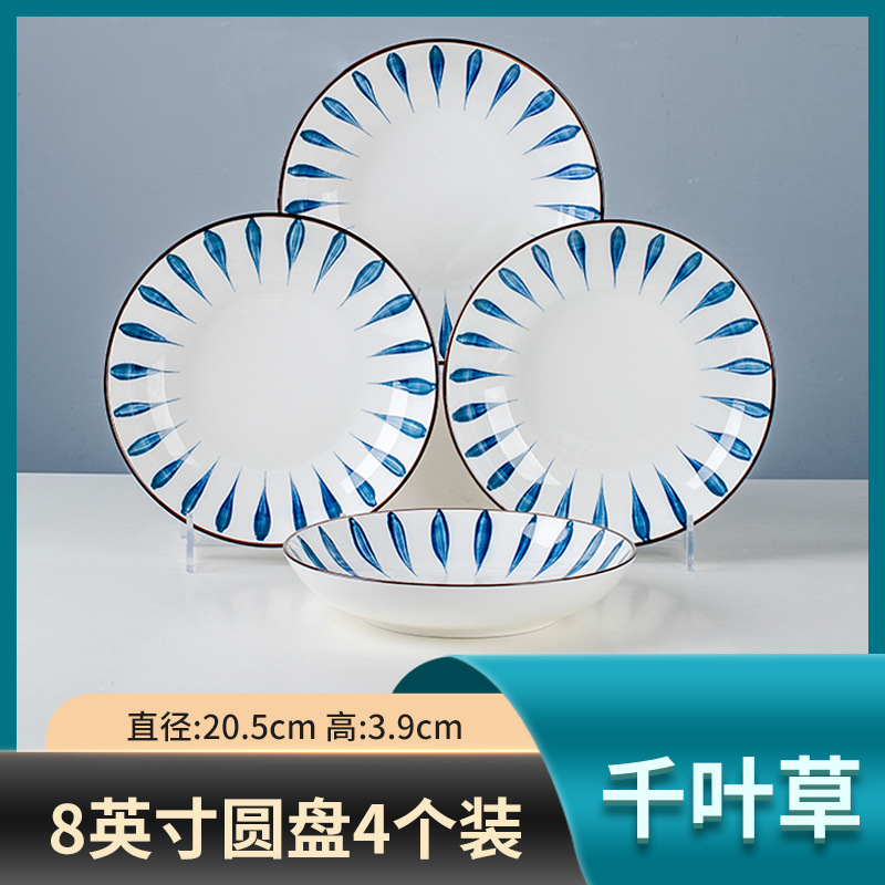 8 인치 지바 디스크 4