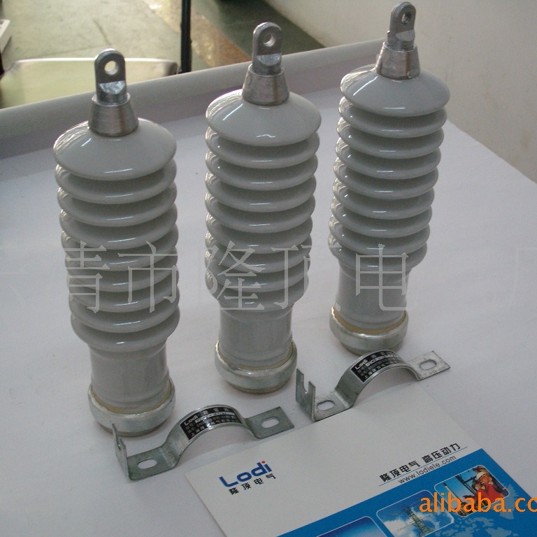 隆顶电气   Y5WS Y10WX Y5WZ Y5CX Y5CS陶瓷避雷器Arrester Y5CS1