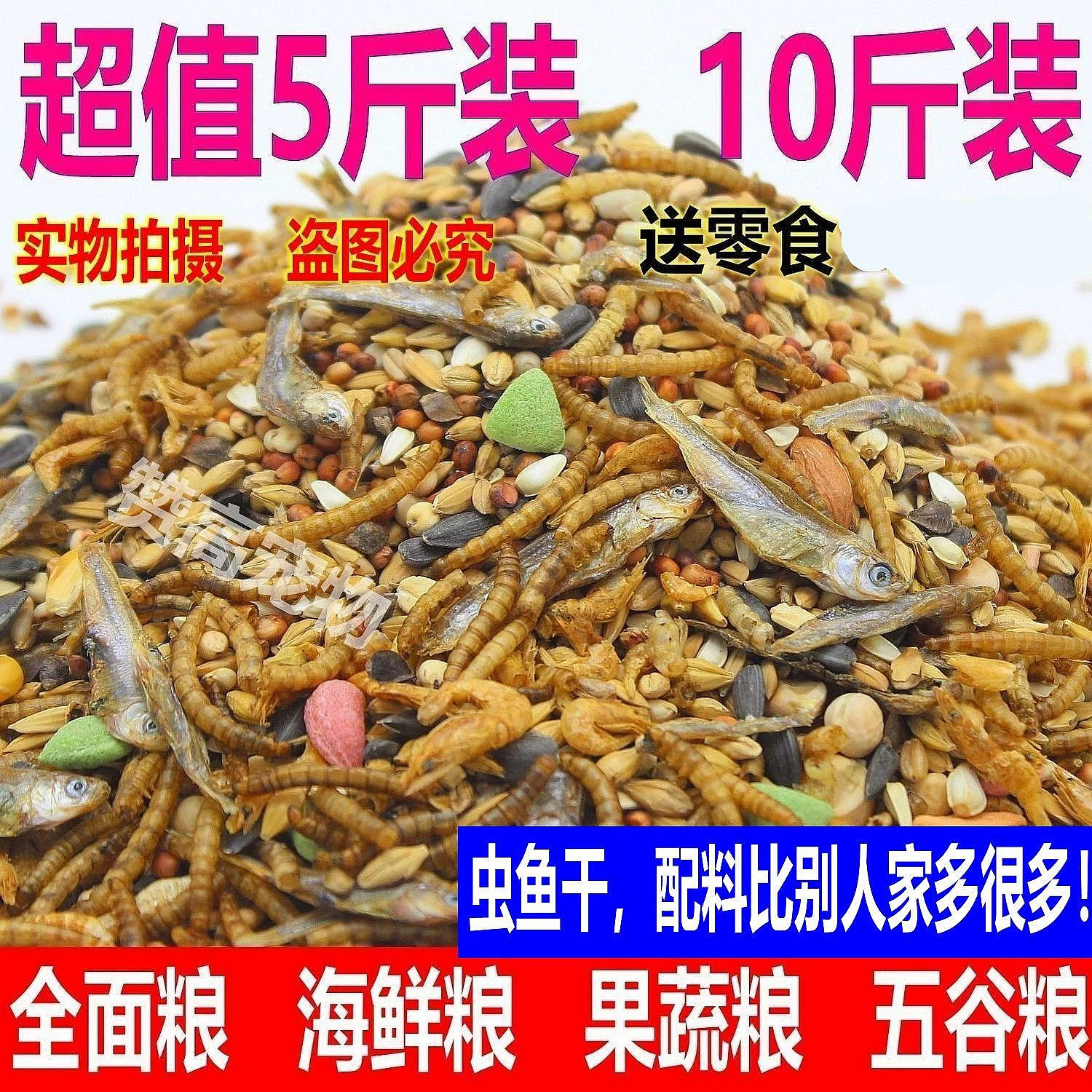 Хомяк ест пищу маленький золотой медведь питательный основной корм