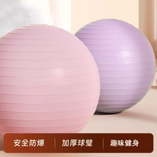 瑜伽健身大球 PVC加厚防爆 儿童感统训练产后修复办公室健身球