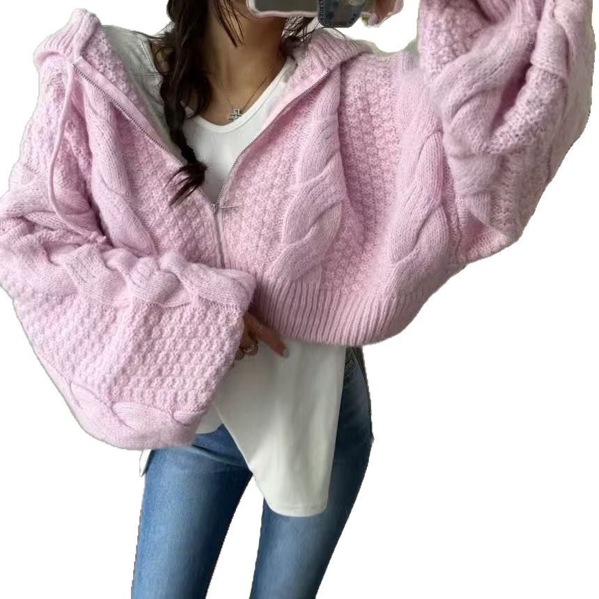 Otoño y invierno nuevo casualidad con capuzas con cremallera de manga larga camiseta de punto coreana para reducir la edad suéter corto de torsión suelta para mujeres image 6