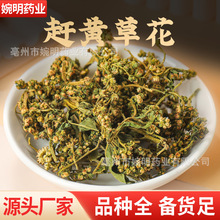 �s�S�ݻ�500g�s�S�ݻ����A�s�S�ݻ���ș��Ұ���s�S���~�s�S�����l