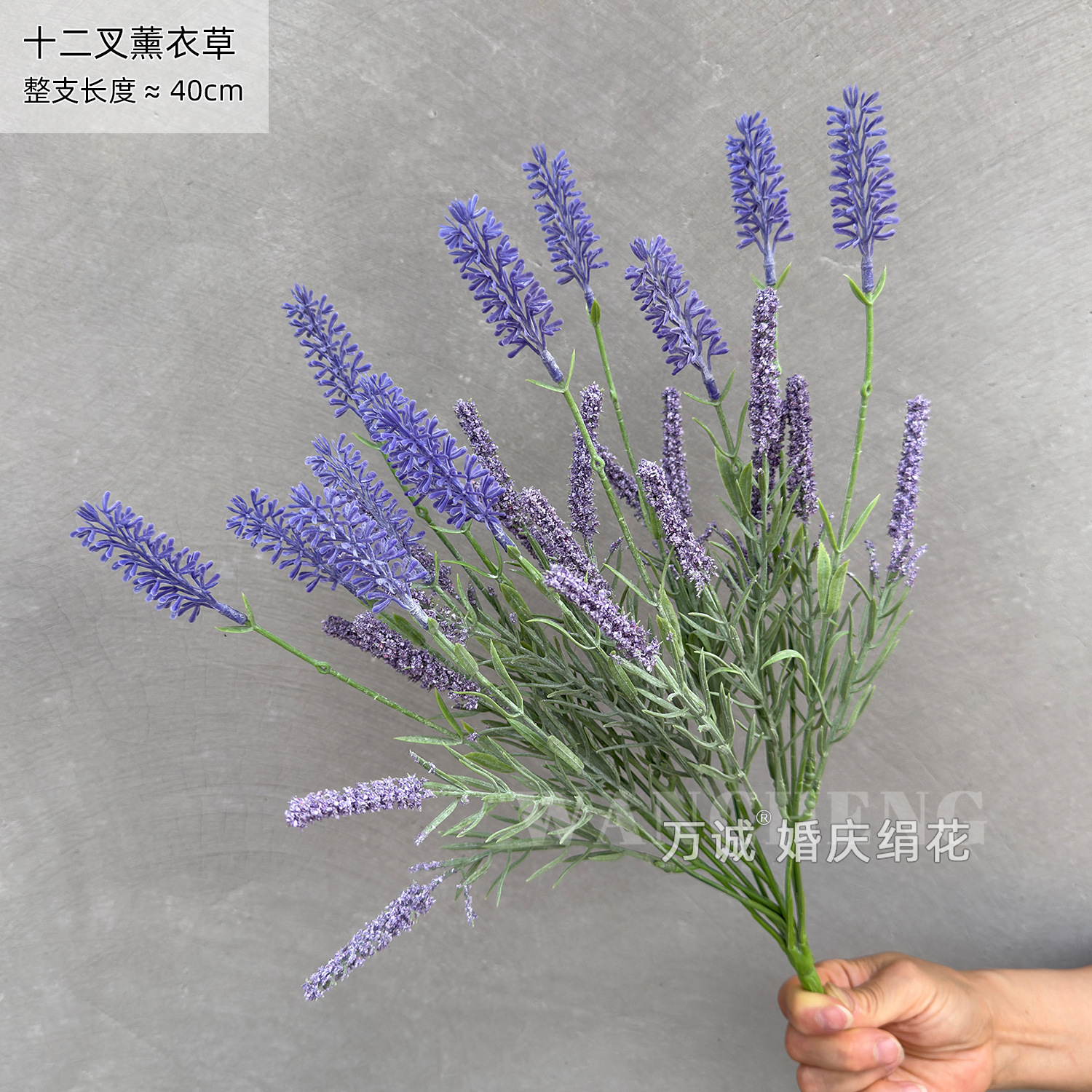 Twelve forks of lavender