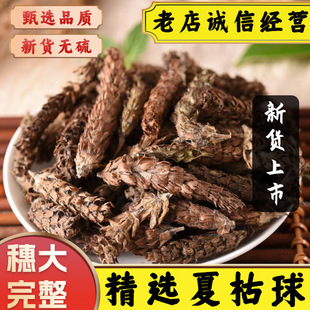 ��ș����؛��Ұ����ë�Ŀݲݸ��Ŀ���؈צ���Ŀݲ��ѹ�Ӣɢ�Y��