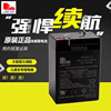 LONG WAY龍威兒童電動車電瓶通用摩托車蓄電池大容量6V4.5ah/20hr