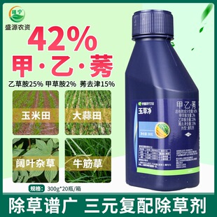 �S����݃� ������������������ǰ���]�������݄�����ݬȥ��