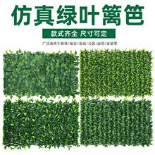 ����G�~ֲ�����ڸ��໨�ܷ�����s�h�ʻ��@ͥԺ�̨�ř��b�