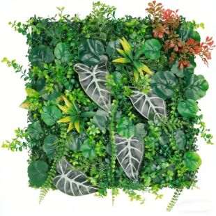 �������wֲ��҃������b����Gֲ�ٻ������ƺ��ʽ�쾰������