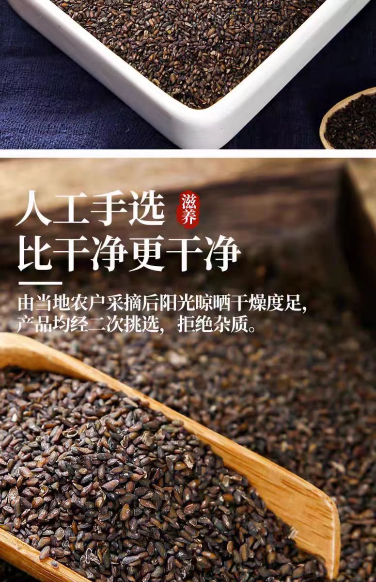 Plantain Seed (Plantago asiatica) — Dried Che Qian Zi Food Herb, 500g quality and texture