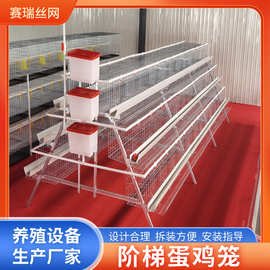 养殖场阶梯蛋鸡笼三层四层阶梯式蛋鸡笼子鸡舍家用自动滚蛋养殖笼
