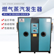 粽子蒸煮锅配套液化气蒸汽发生机 全自动蒸汽锅炉燃气蒸汽发生器