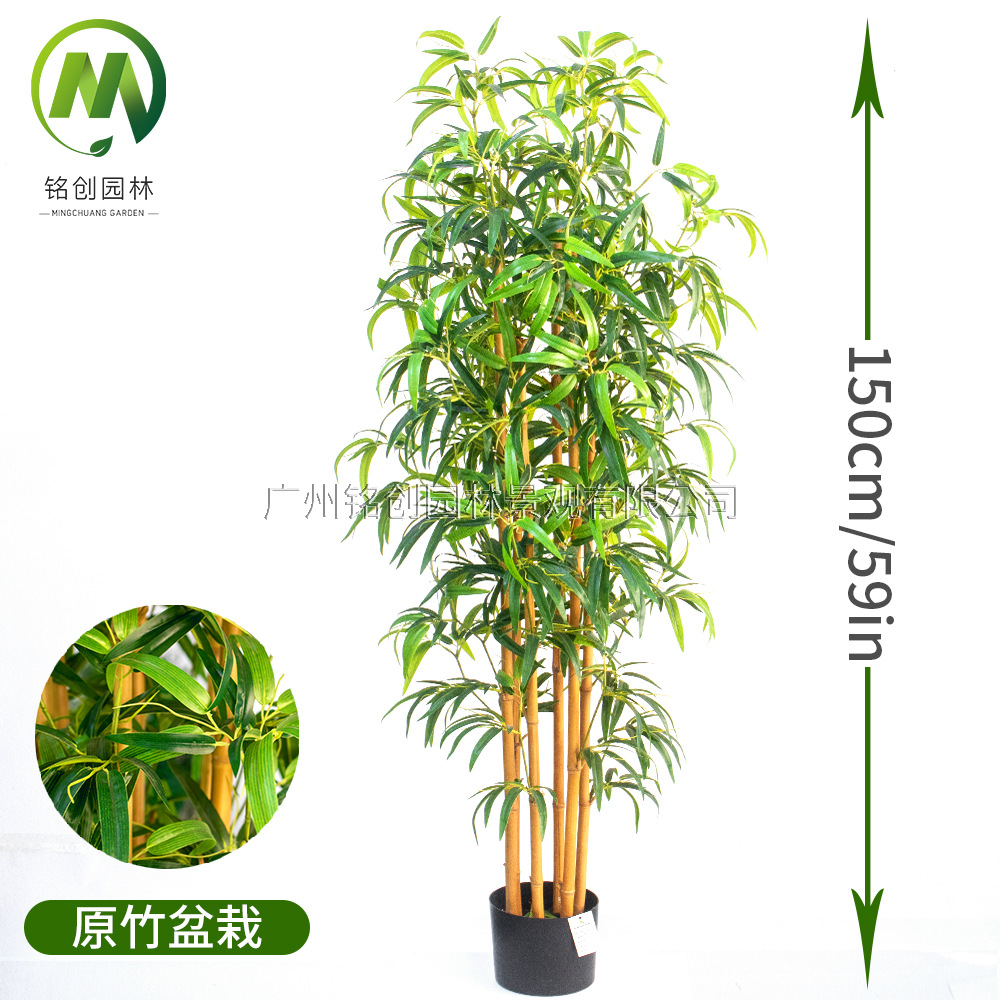 Simulación de plantas verdes y paisajismo Bambú falso Simulación de plantas en macetas Simulación de plantas verdes falsas Paisajes Bambú Bonsai