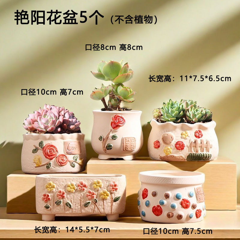 Pintado a mano primavera transpirable suculentas maceta cerámica hogar carne especial olla de arcilla pequeña venta directa de fábrica al por mayor