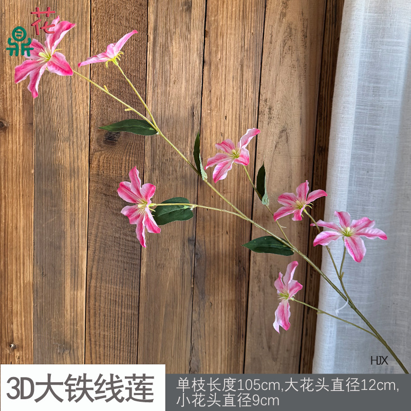 3D 대형 클레마티스 HJX 로즈 레드