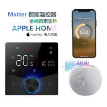 无线matter智能壁挂炉温控器温控面板5A家用地暖温控器homekit