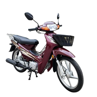Light-Duty Motorcycle, Motosikletlər