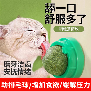 Catnip Ball Cat Toy Teeth Teeth Cleaning Resistant Bite Solving Gadget Kitten Kitten Kitty Self-Licking Licking Music Products