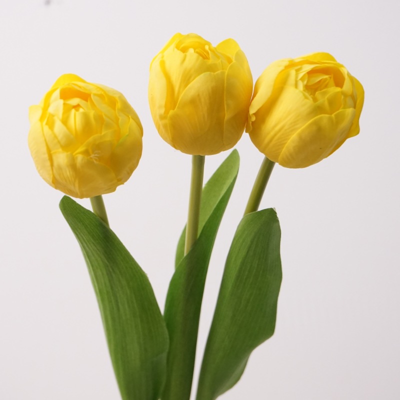 Touch Camellia Tulip - Amarillo Oscuro