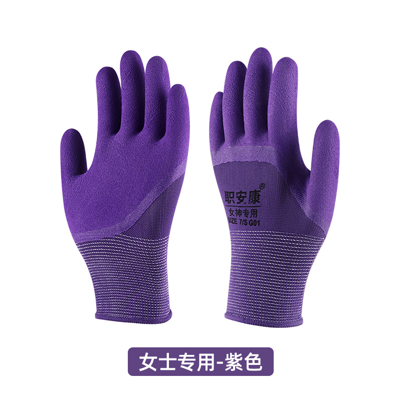 성인 보라색 [여성 전용]