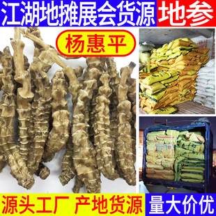 �x�݅��؅��x�݅���Ϯa�ع������Q�؅��V�|�Ҝ�����ʳ���ݾ���