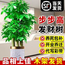 �����߰lؔ���������҃ȾGֲ�k�����_�I�ͶY���U��ؔ������辰