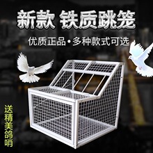 鸽子跳笼进出门进出口新款跳台不锈钢赛鸽训放笼赛鸽信鸽用具标准
