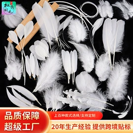 羽毛、羽绒;发夹;发带