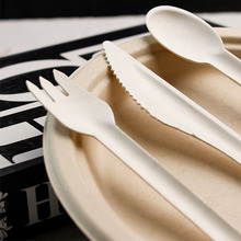 一次性刀叉勺纸浆环保可降解食品级外卖西餐甜品餐具刀子叉子勺子
