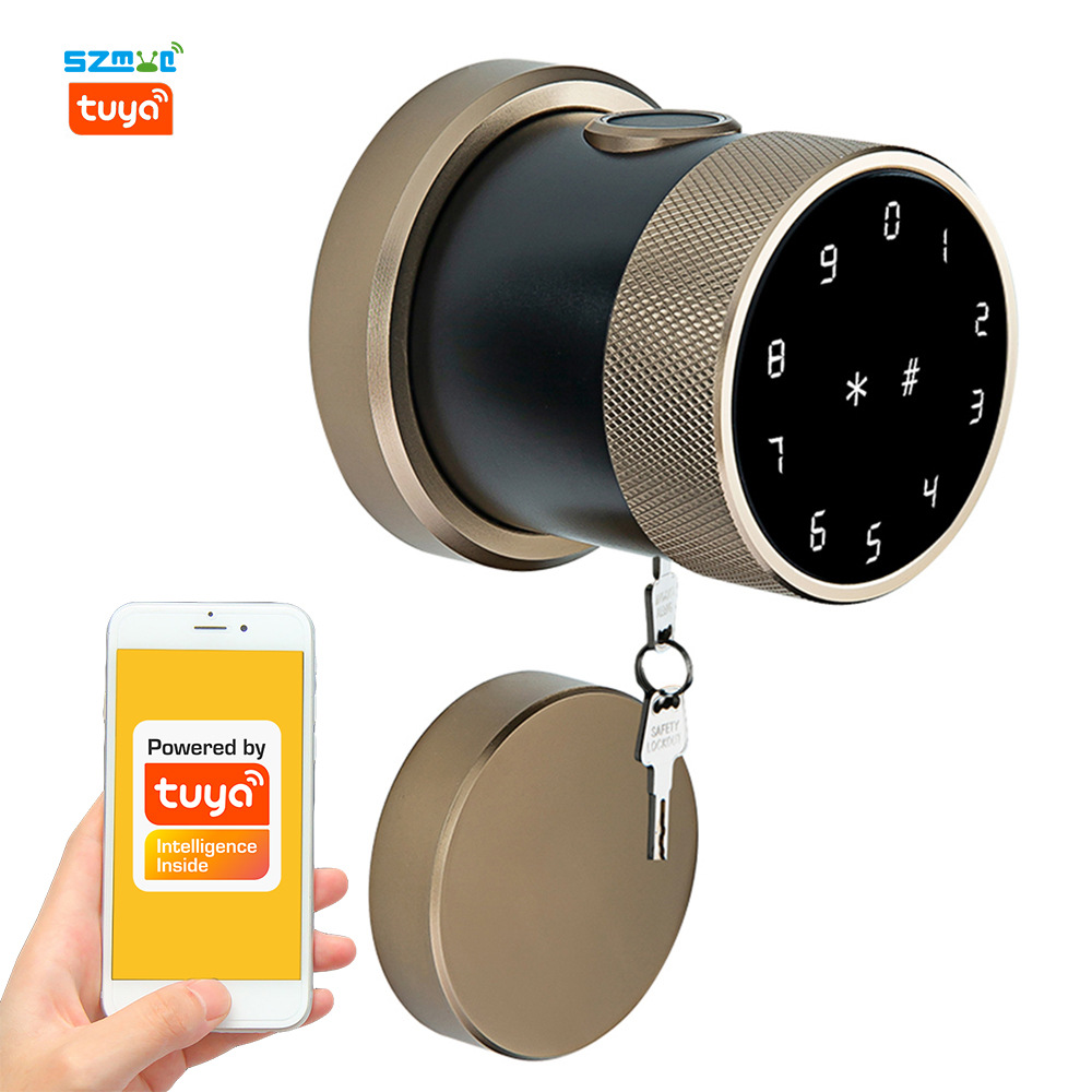 跨境涂鸦Tuya蓝牙球形公寓酒店卡片RFID圆把手指纹密码锁智能锁