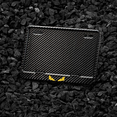 plate holder, license plate frame, Nömrə qabı - motorcycle-molded-dry-carbon-twill-little-devil