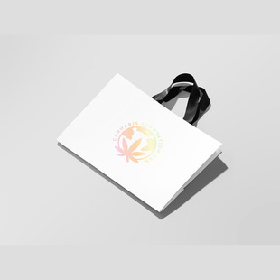 Paper bag gift bag ins Wind wholesale spot white card leather clothing shopping bag tote bag packaging with logo