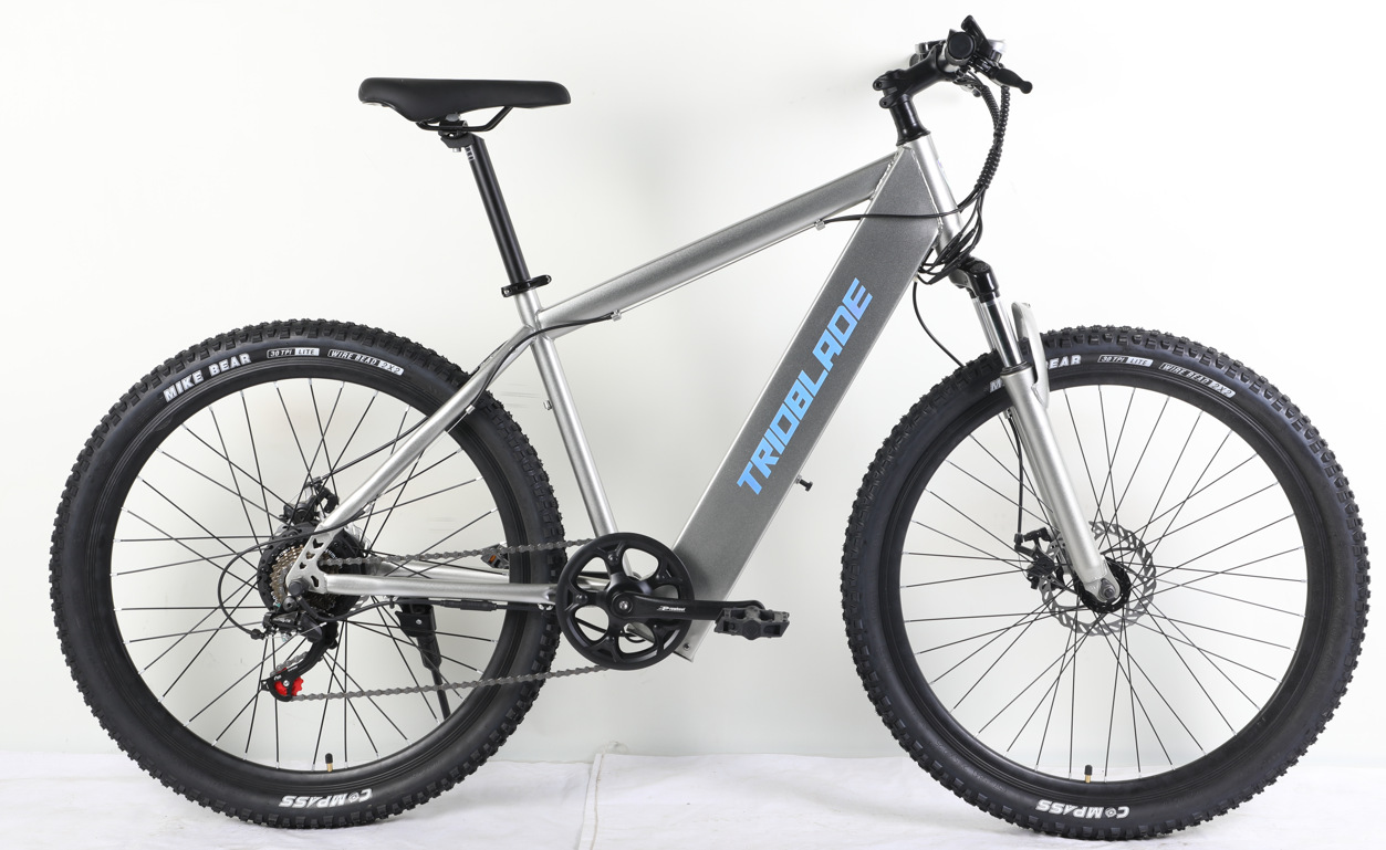 lithium battery for cycling