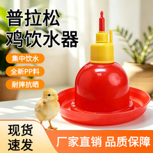 加厚普拉松喂水器养鸭鹅鸡用自动饮水器饮水壶养鸡养殖设备鸡用品