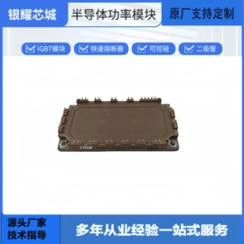 普通晶闸管;IGBT模块;集成电路