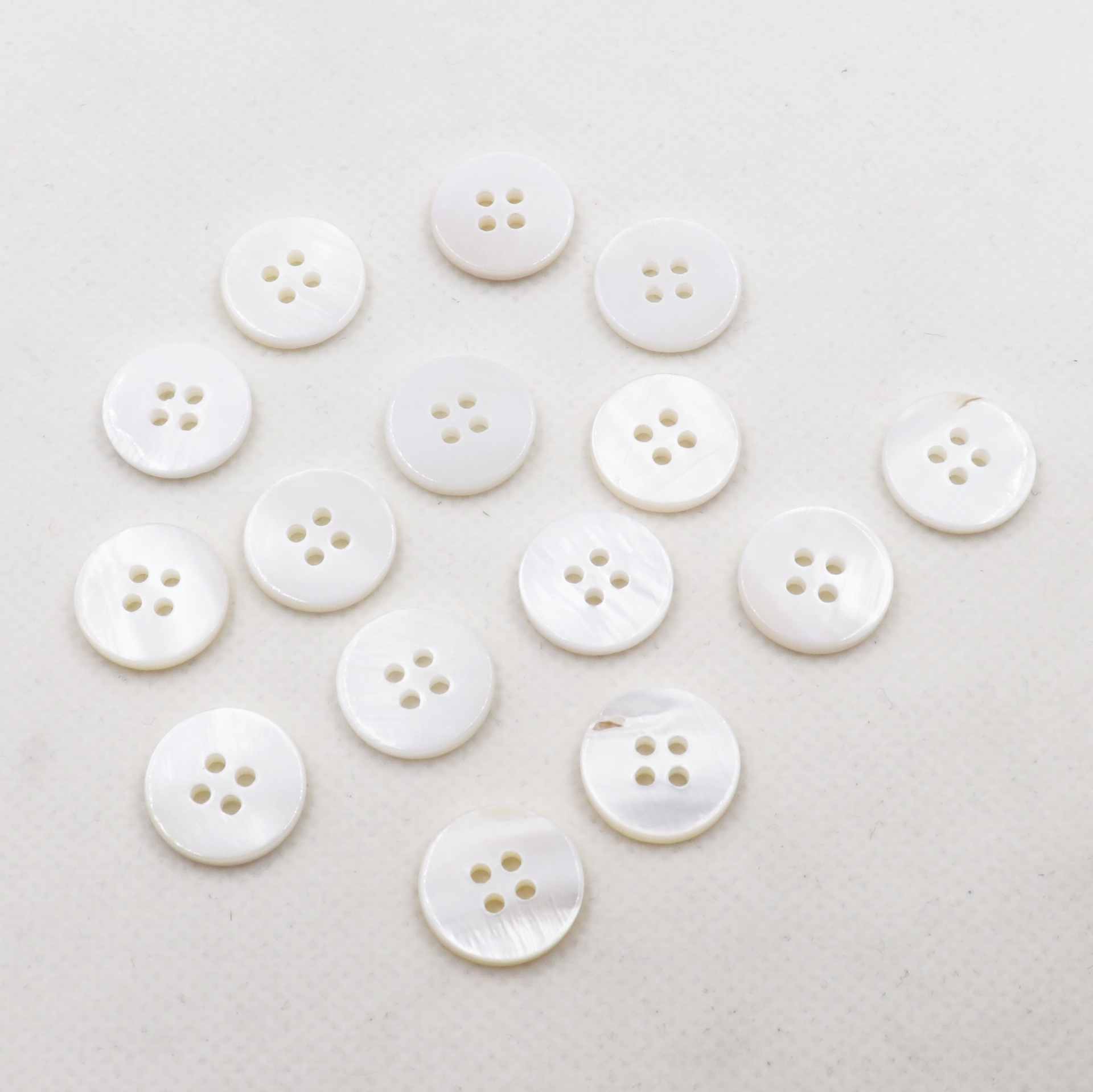 平面四眼白贝 (5).JPG