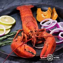 熟冻波士顿龙虾速冻大波龙鲜冻海鲜活冻澳洲澳龙超大特大商用整箱