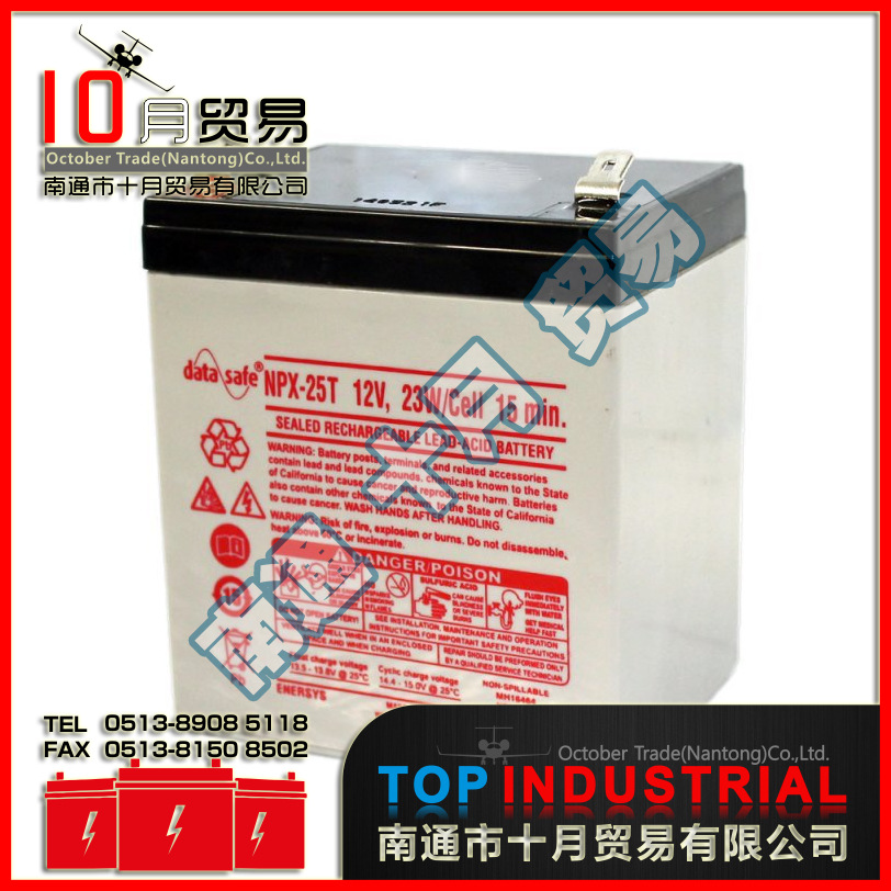 美国Data Safe蓄电池 NPX25-12T 原装进口