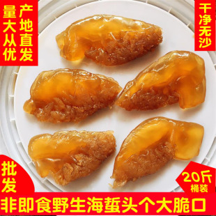 �����^���lС�~Ƭ�t���؛����20��Ͱ�b�Ǽ�ʳˬ���}�纣���^���r