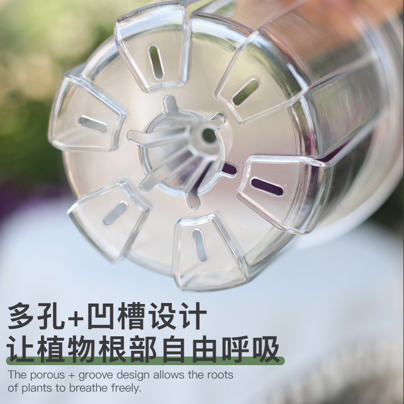 熱植え専用セット植木鉢、メノフィリウム、怠け者用自吸水プラスチック家庭用胡蝶蘭樹脂インナーポット、根の制御と透明|undefined