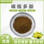 橄榄橄榄叶提取物