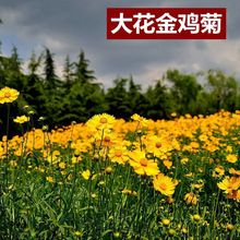 l󻨽uշNӶ޸ͺͺݾ^@ͥԺ