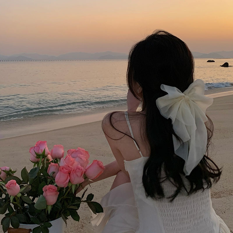白い網の糸の大きい蝶結びの髪のクリップの女性の後頭部の頭の飾りのトップクリップの領収書の新婦のカードの旅行は髪飾りを撮ります。|undefined