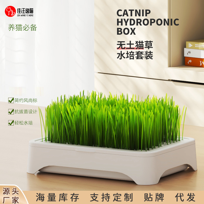 Hydroponic Cat Grass Box Wheat Seeds to Cultivate Cat Snacks Soil-Free Self-Grown Potted Cat Grass Mixed Canned Pet Supplies