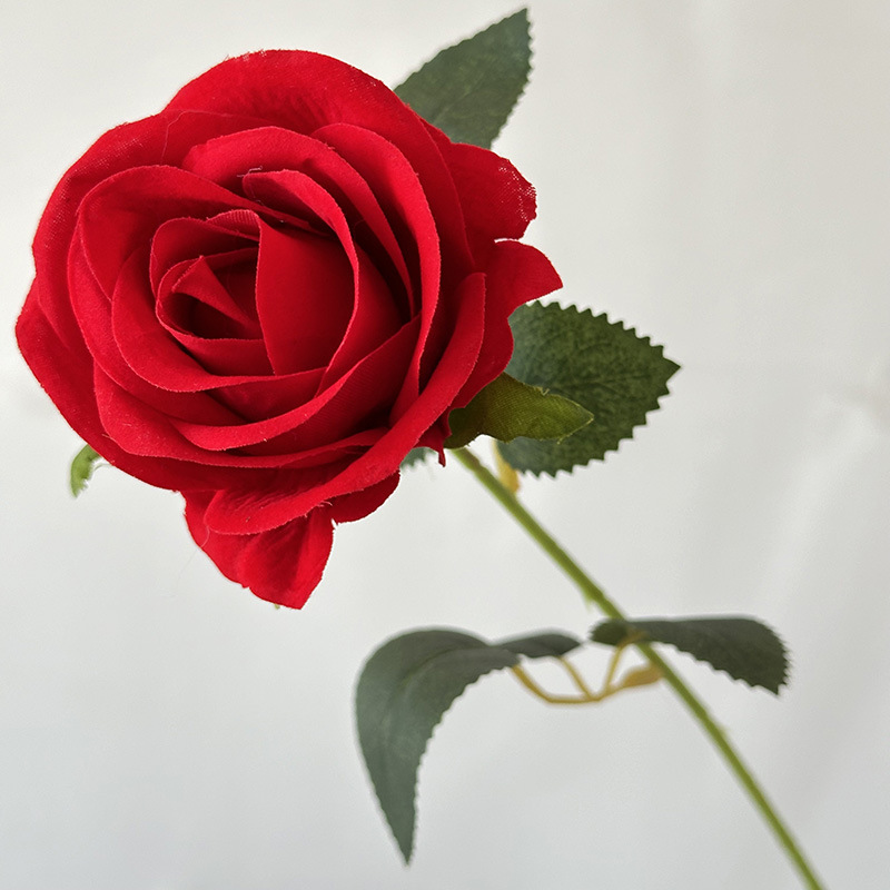 밝은 빨간색