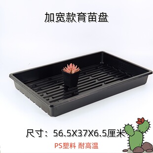 �ӌ������Ǥ���ѿ���w�Ӷ��␞�B���ز��N�P��������P����P
